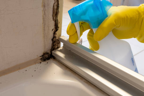 Best Air Quality Testing for Mold Spores  in Pembroke, VA